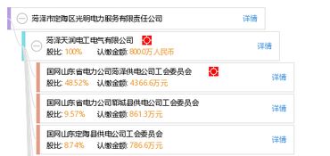 菏泽市定陶区光明电力服务有限责任公司信息概览