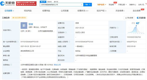 专业投资咨询 助您财富增值的智慧选择